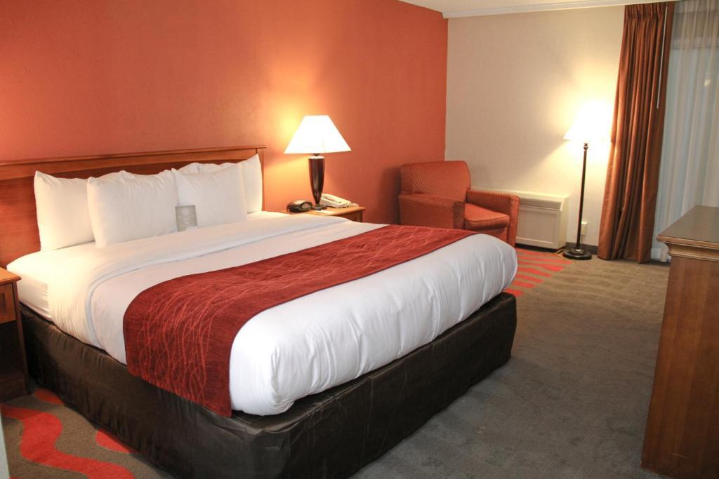 Comfort Inn & Suites Airport 锡拉丘 客房 照片